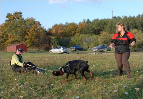 Training in Estonia 9/2007